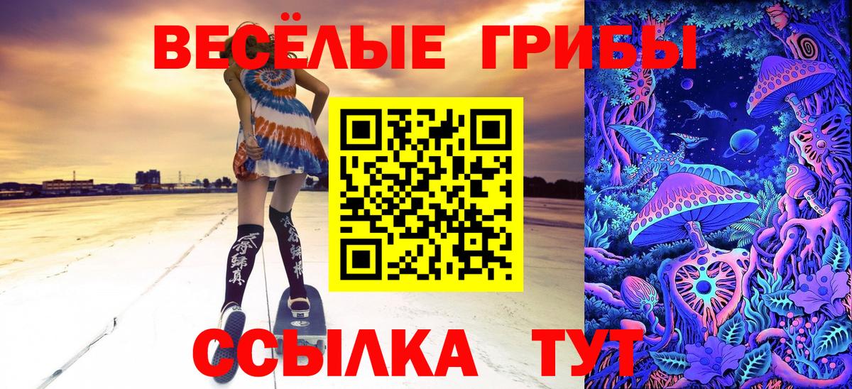 Псилоцибиновые грибы Psilocybe Михайловск