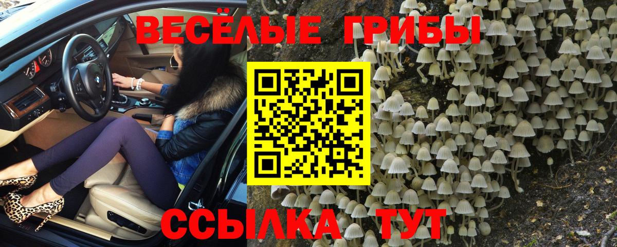 НБОМе  Экстази  Михайловск  Канабис  Вход с VPN  А ПВП СОЛЬ   Меф кристаллы 
