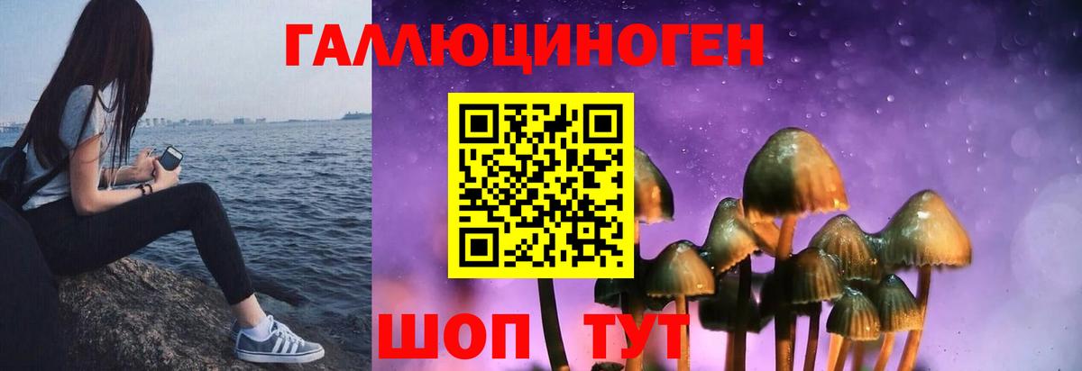 Галлюциногенные грибы Magic Shrooms  дарнет шоп  Михайловск  Вход с VPN 